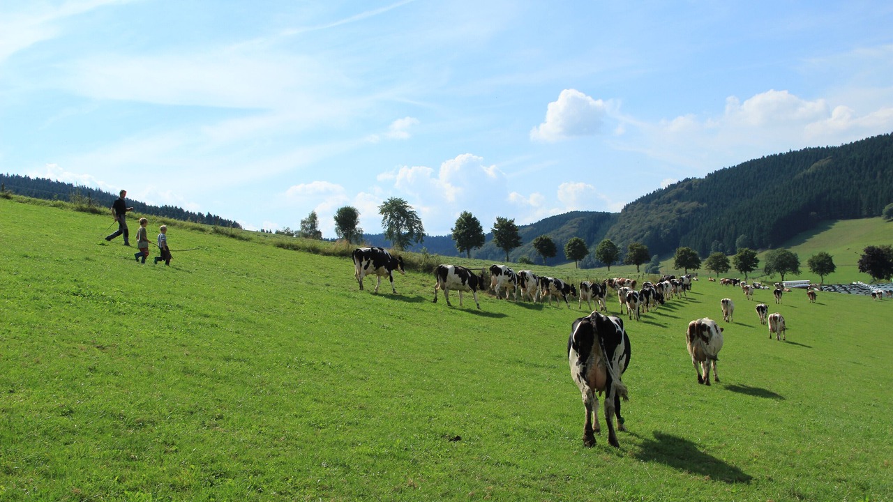 Photo of Others in Oberhenneborn