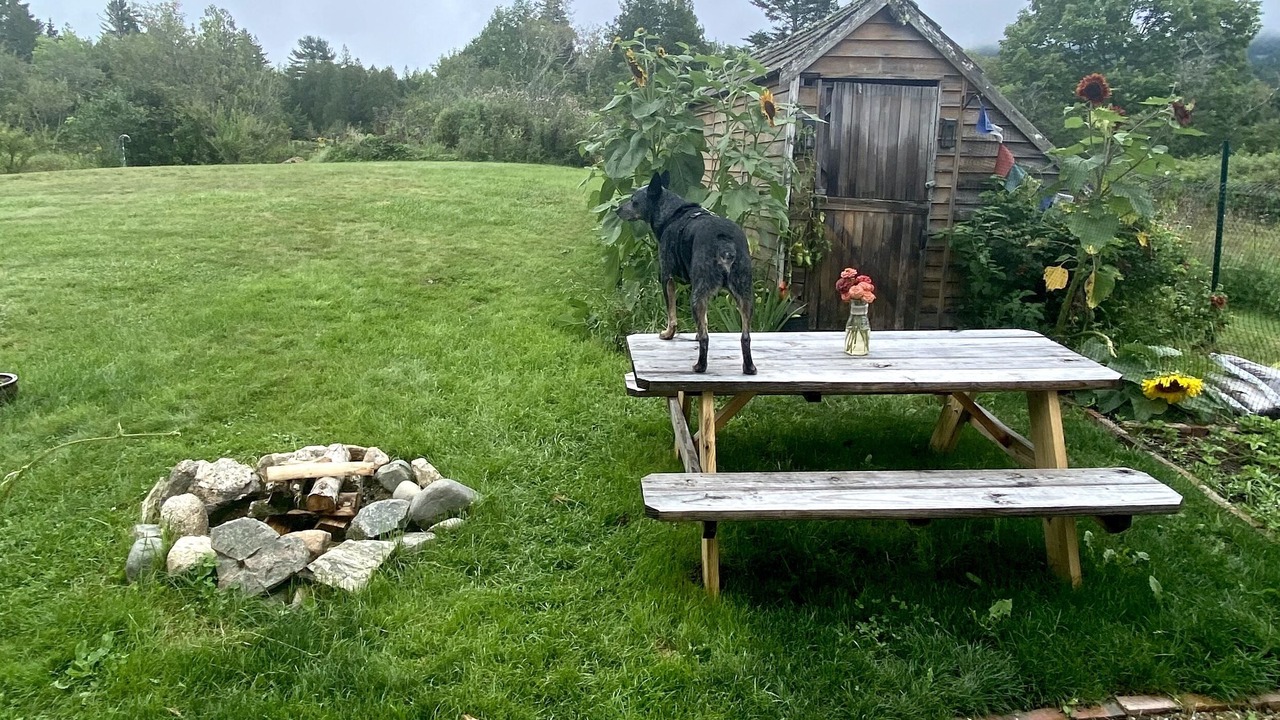 Photo of Outdoor in Seal Cove