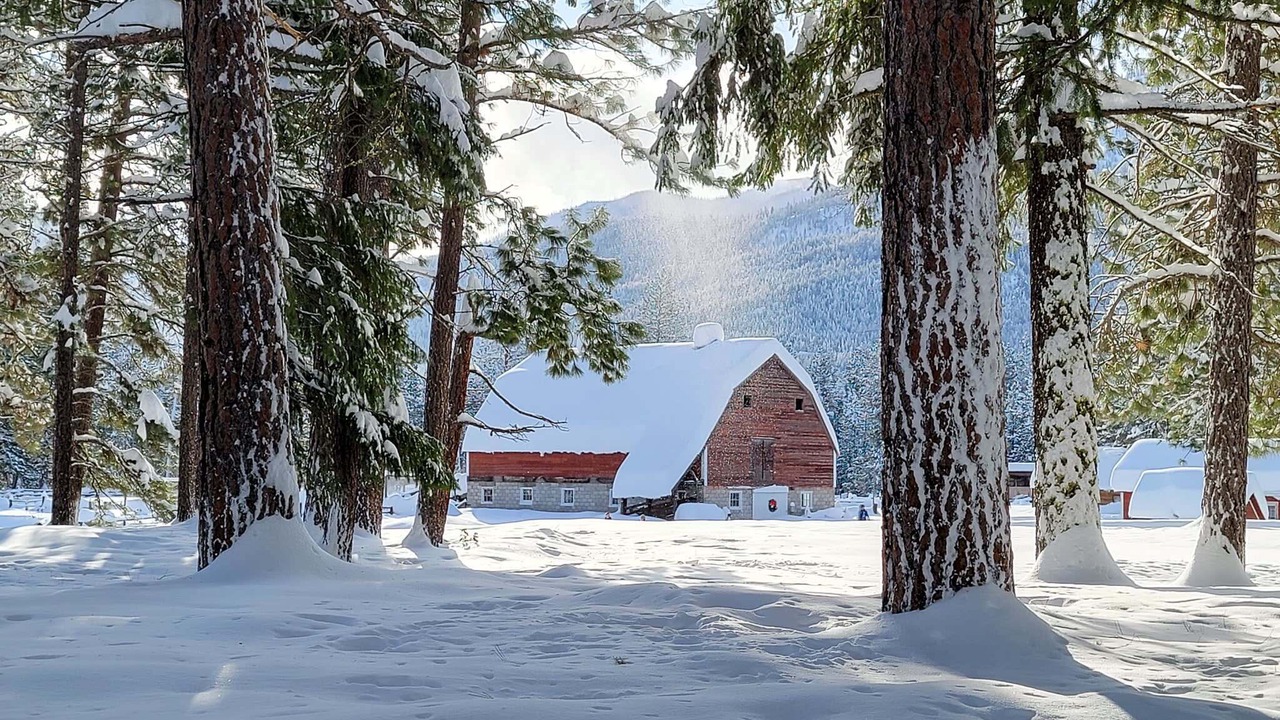 Photo of Outdoor in Mazama