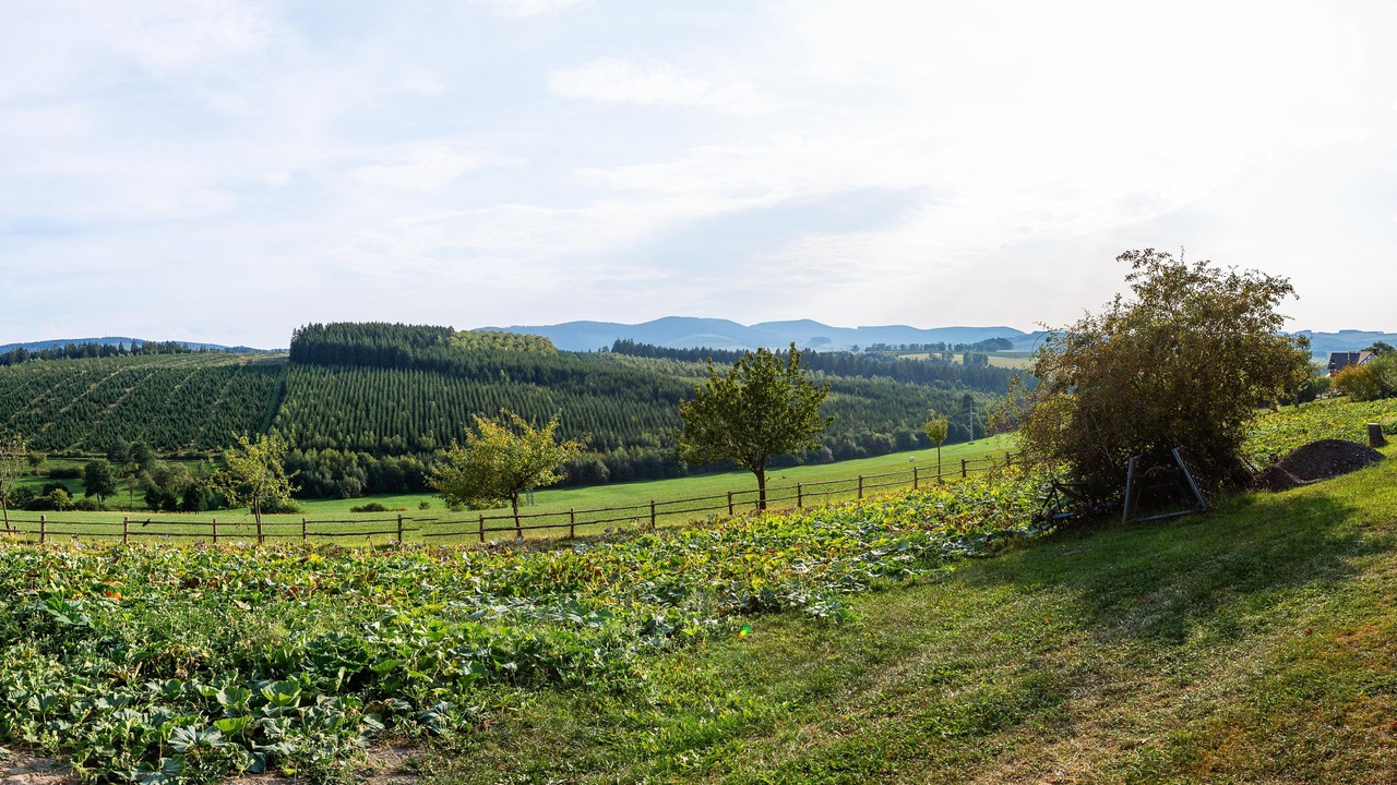 Photo of Outdoor in Niederberndorf