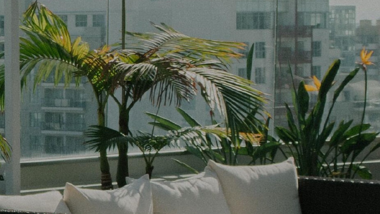Photo of Outdoor in West Loop