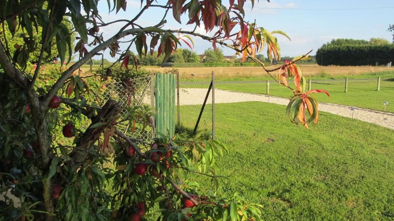 Photo of Outdoor in Guilly