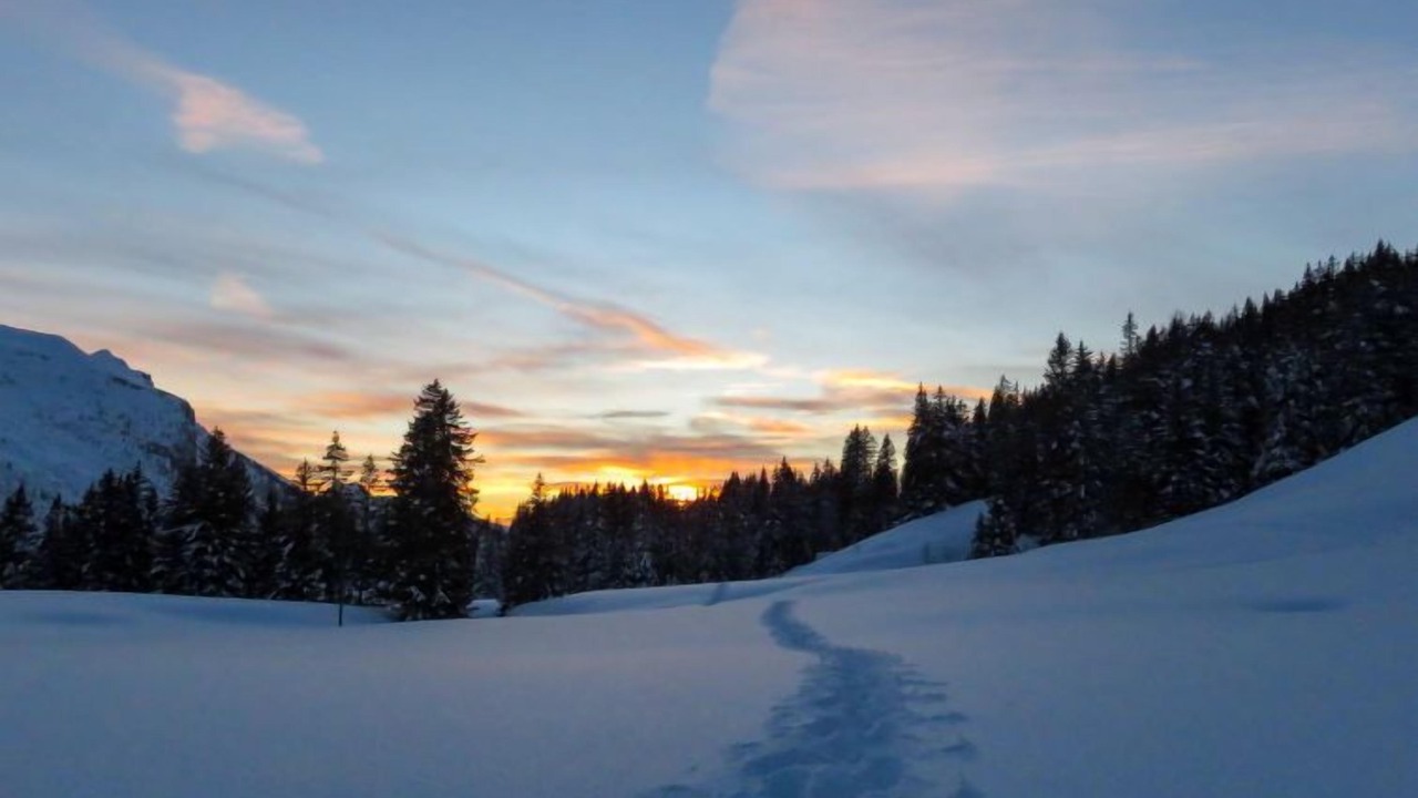 Photo of Others in Ormont-Dessus