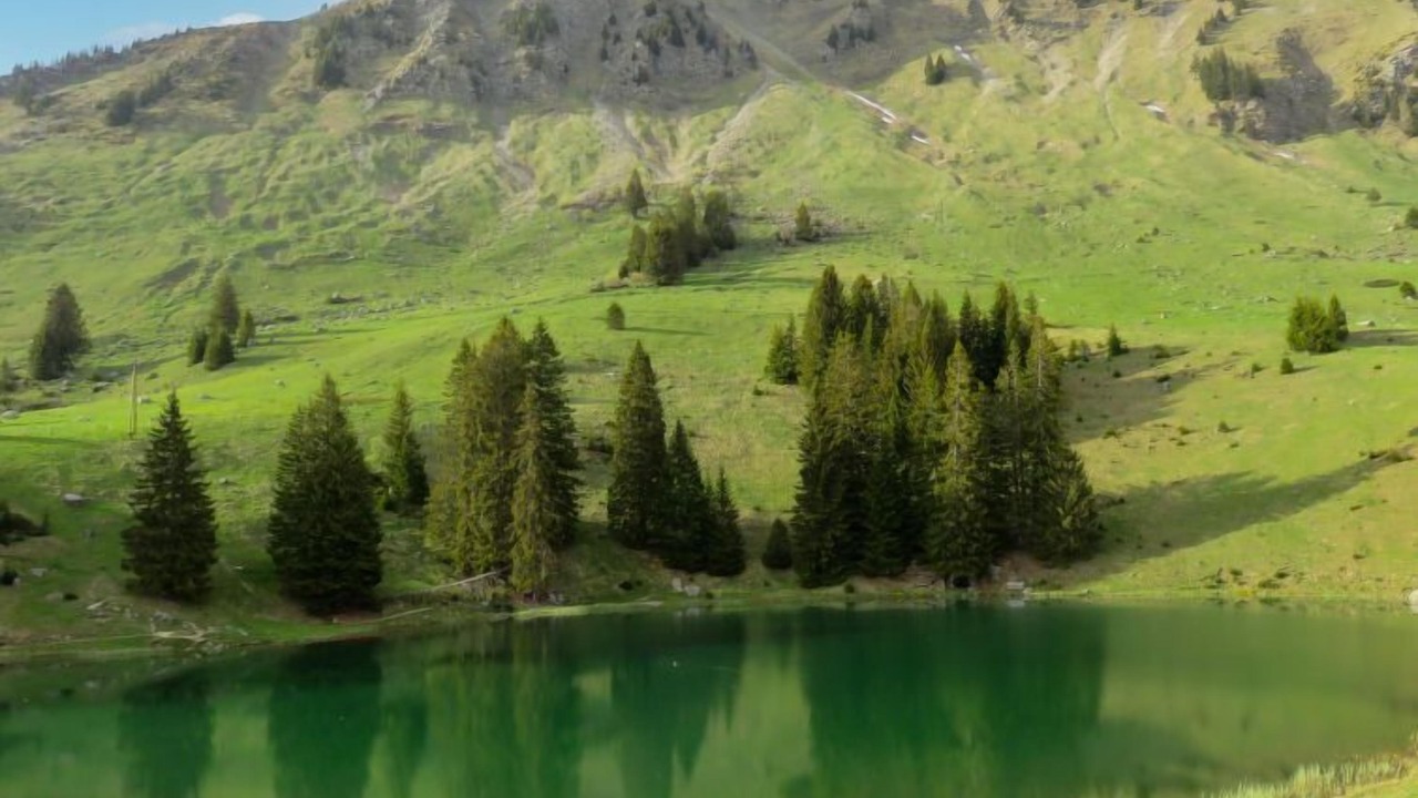 Photo of Others in Ormont-Dessus