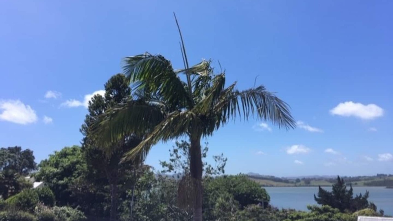 Photo of Others in Mangonui