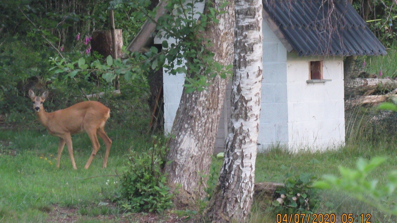 Photo of Outdoor in Ortheuville