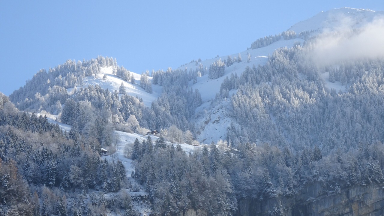 Photo of Others in Allerheiligenberg