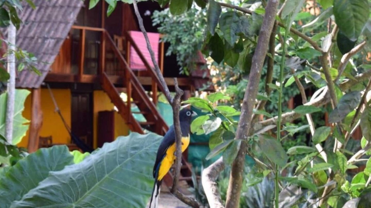 Photo of Outdoor in Cabuya