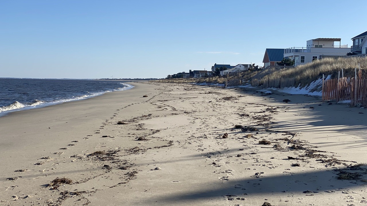 Photo of Others in Prime Hook Beach