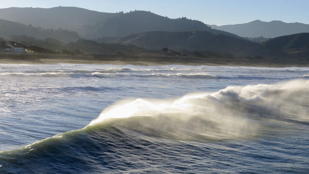 Photo of Others in Pacifica