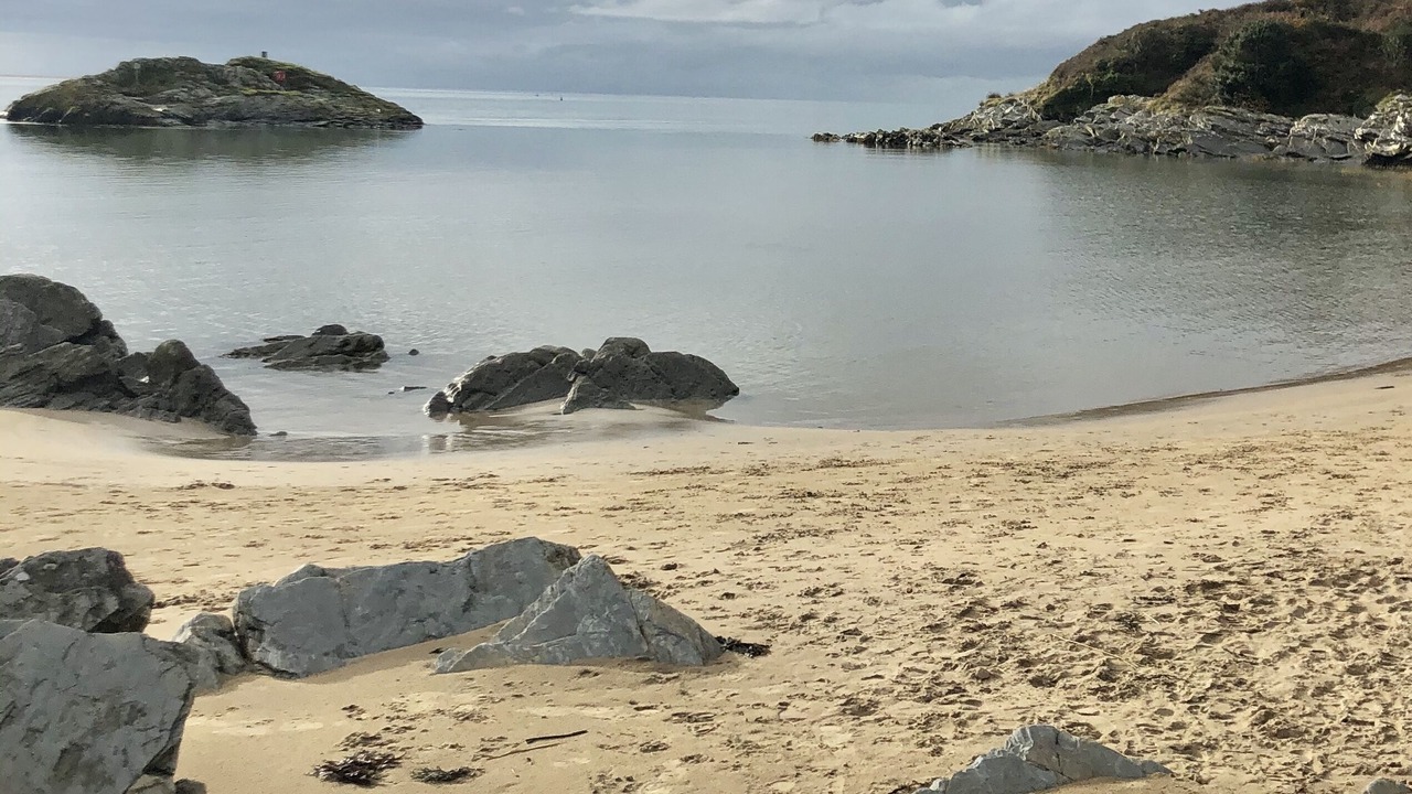 Photo of Others in Borth-y-Gest