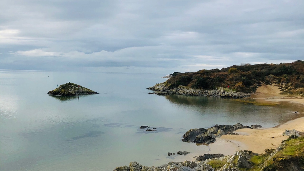 Photo of Others in Borth-y-Gest