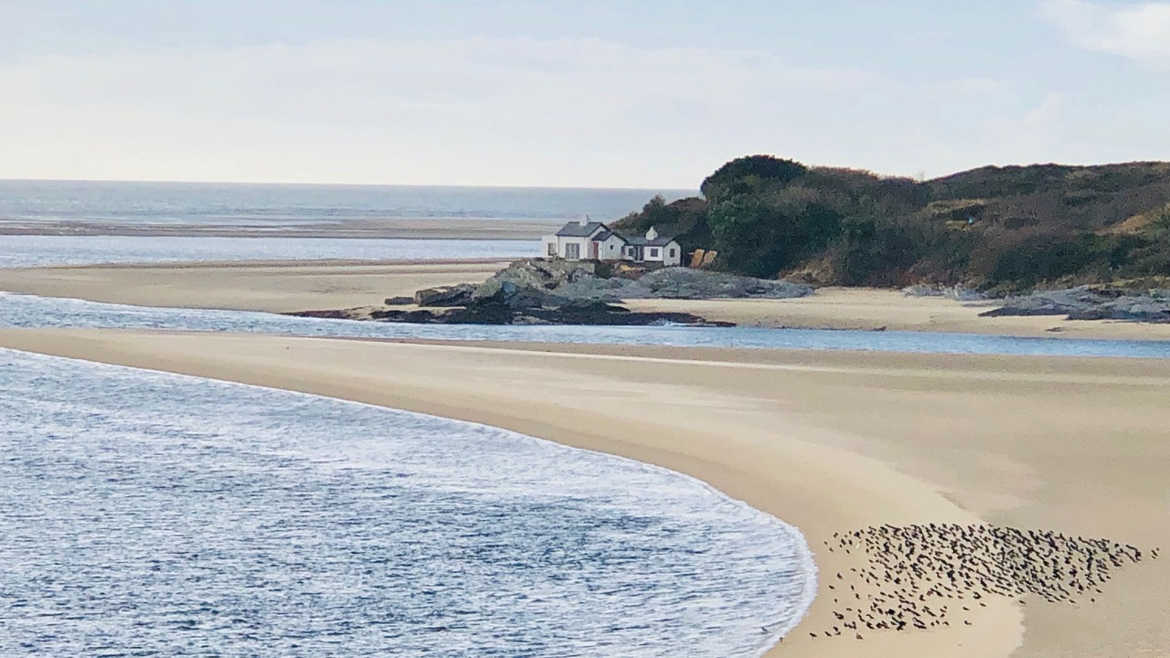 Photo of Others in Borth-y-Gest