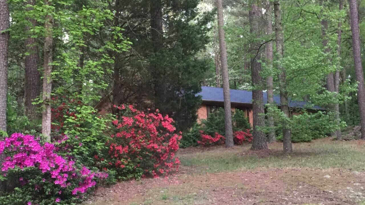 Photo of Others in Cary