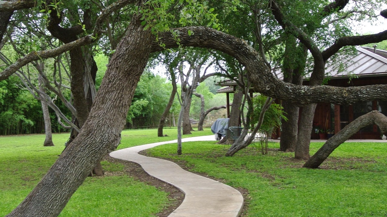 Photo of Outdoor in Uvalde