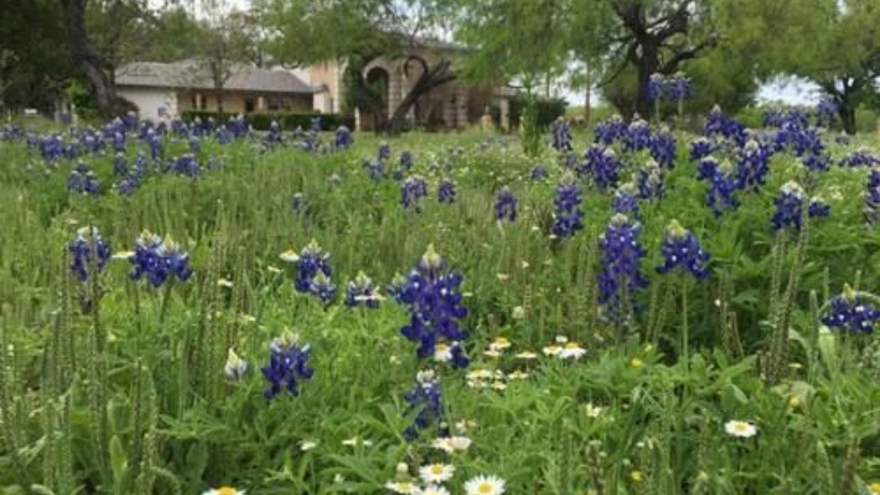 Photo of Outdoor in Uvalde