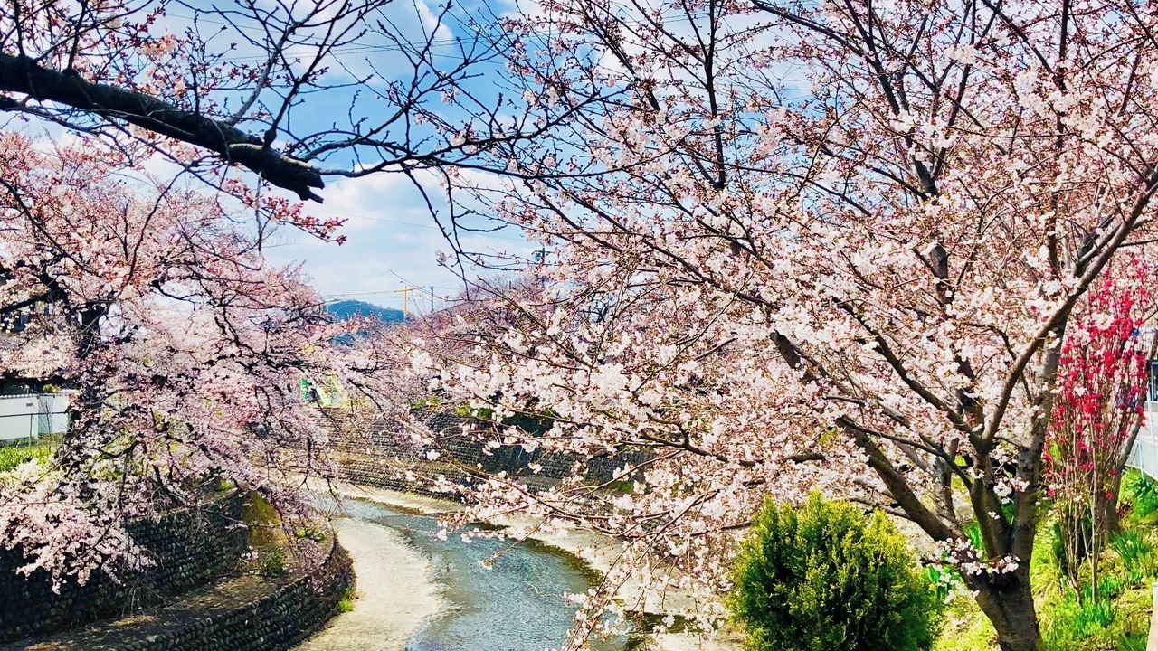 Photo of Others in Inuyama