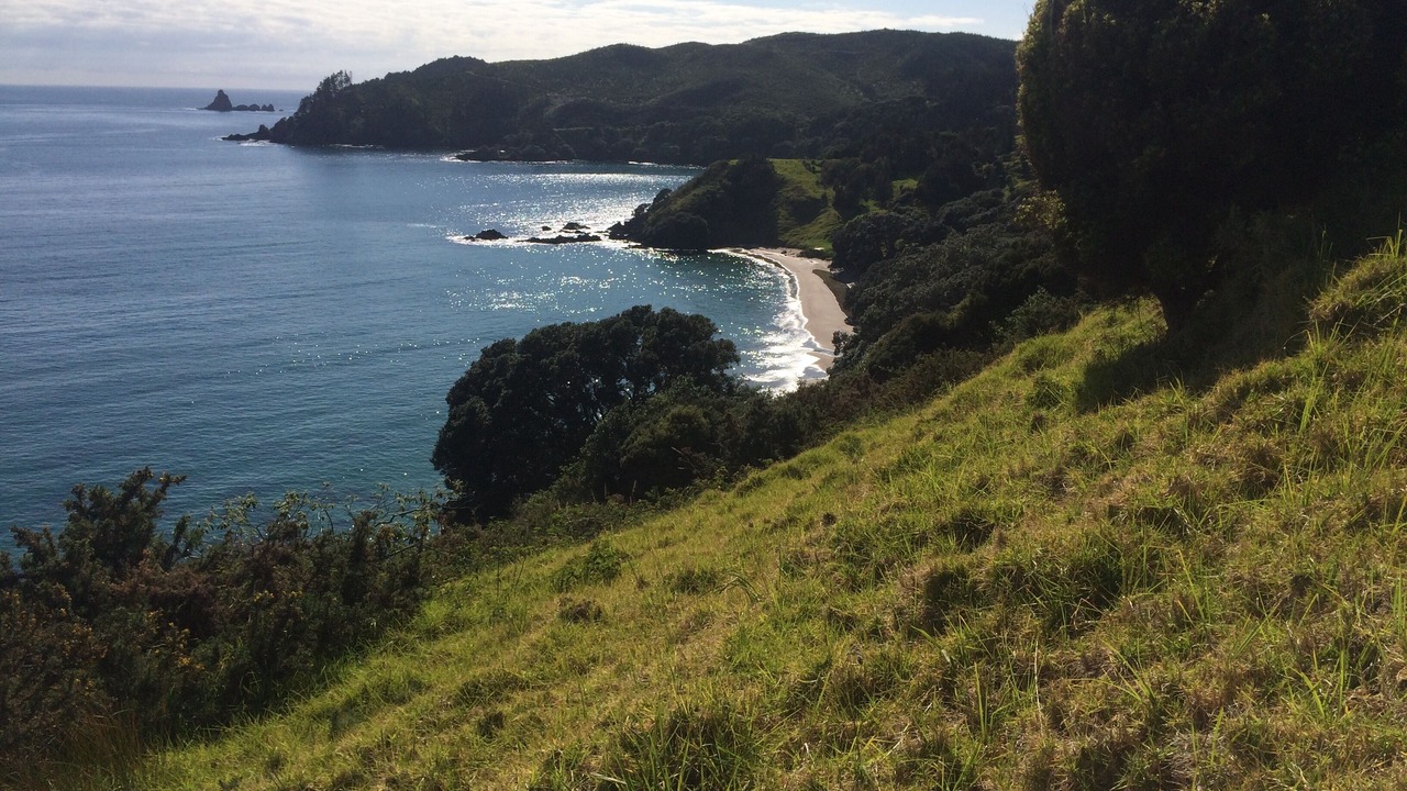 Photo of Others in Kaeo