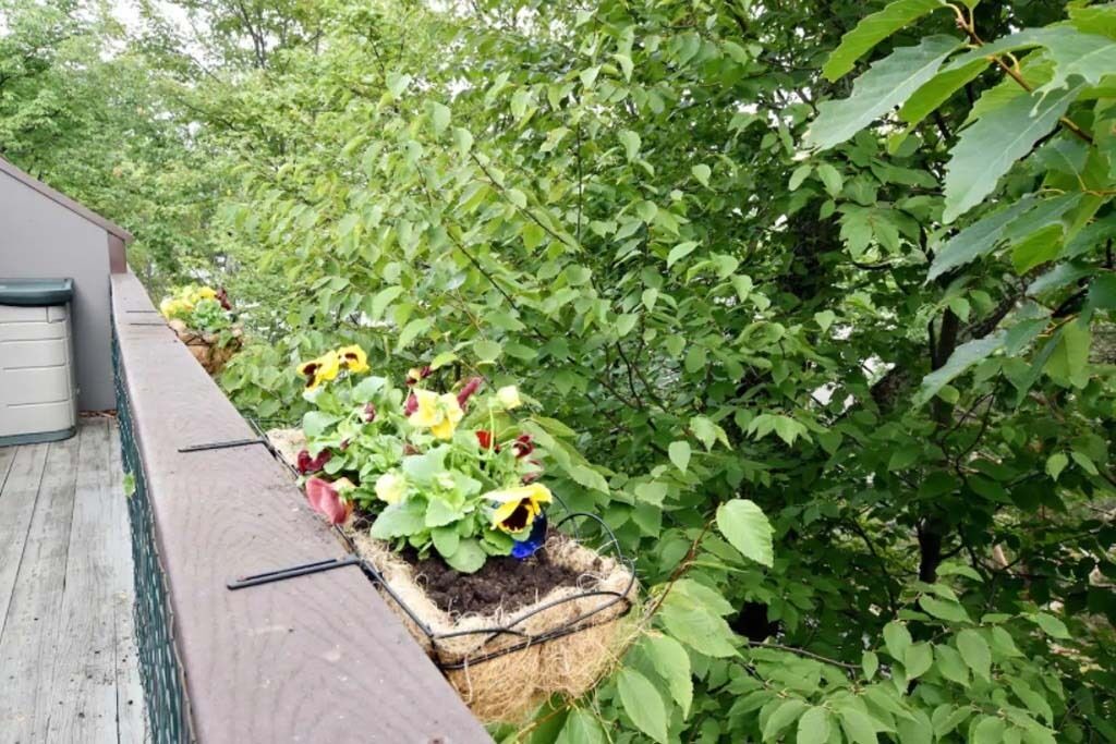 Photo of Outdoor in Village at Camelback