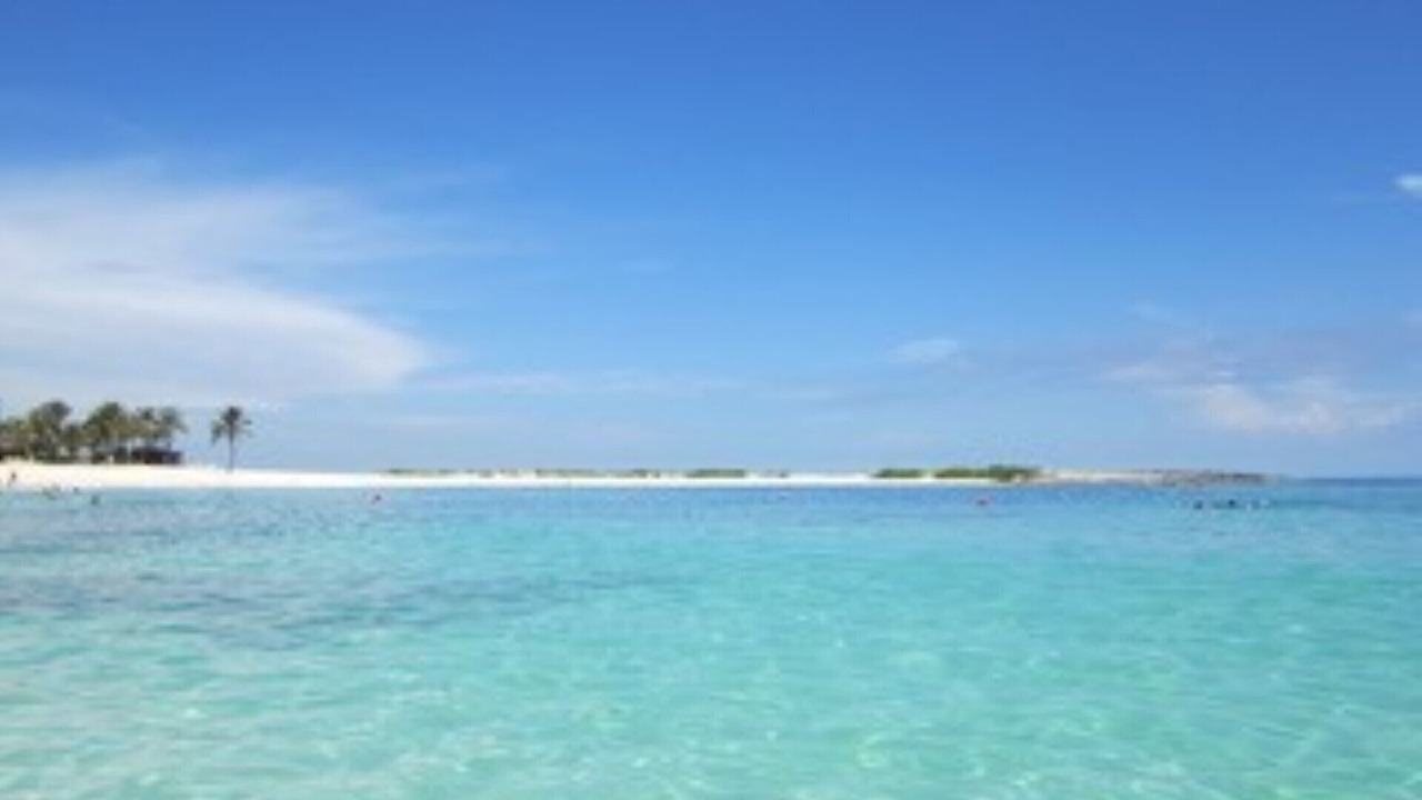Photo of Others in Paradise Island