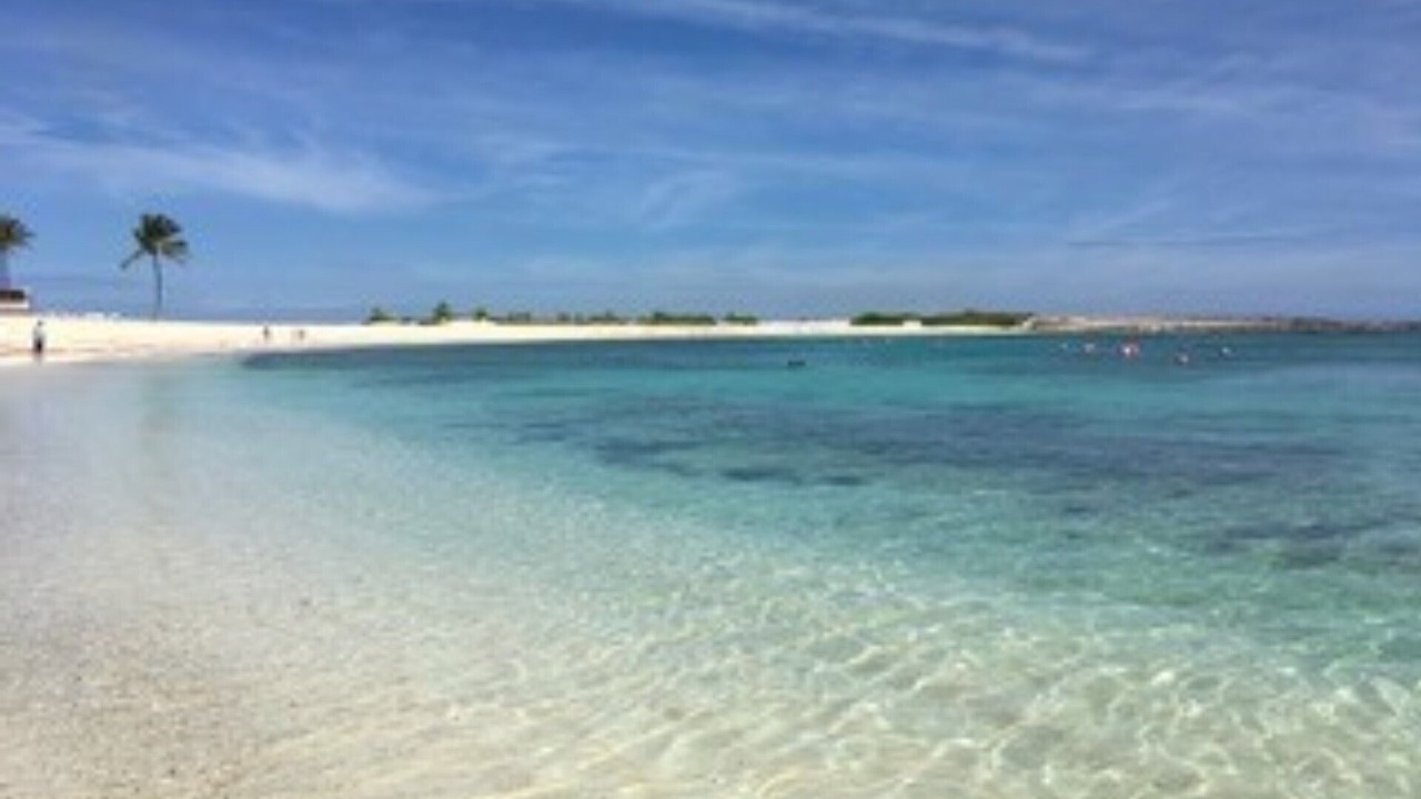 Photo of Others in Paradise Island
