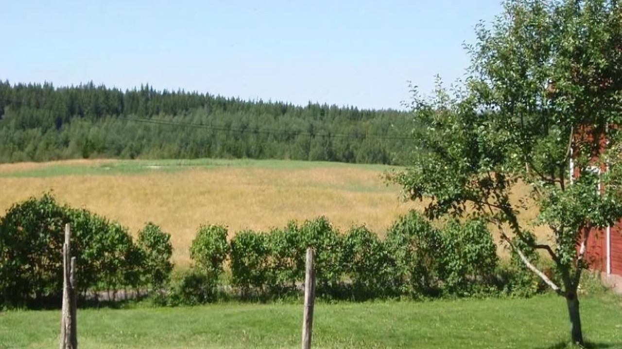 Photo of Others in Rumskulla