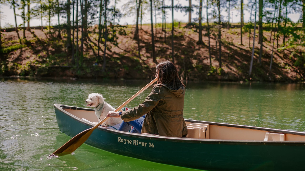 Photo of Others in Saxony Forest