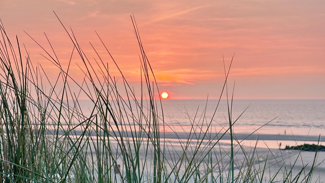 Photo of Others in Bredene