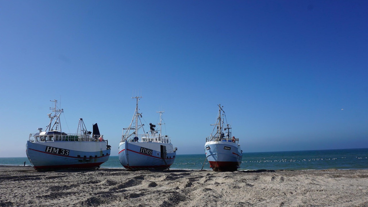Photo of Others in Torup Strand