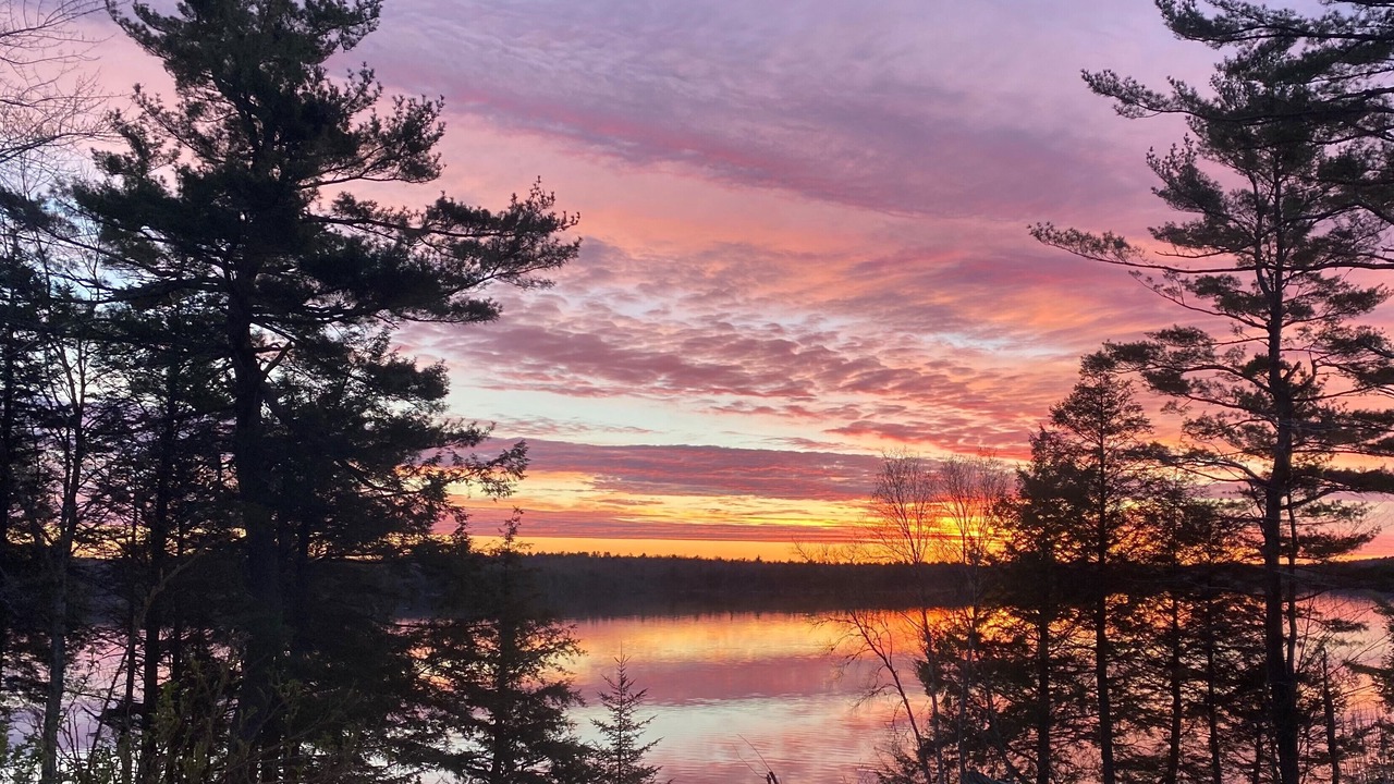 Photo of Others in Lunenburg County