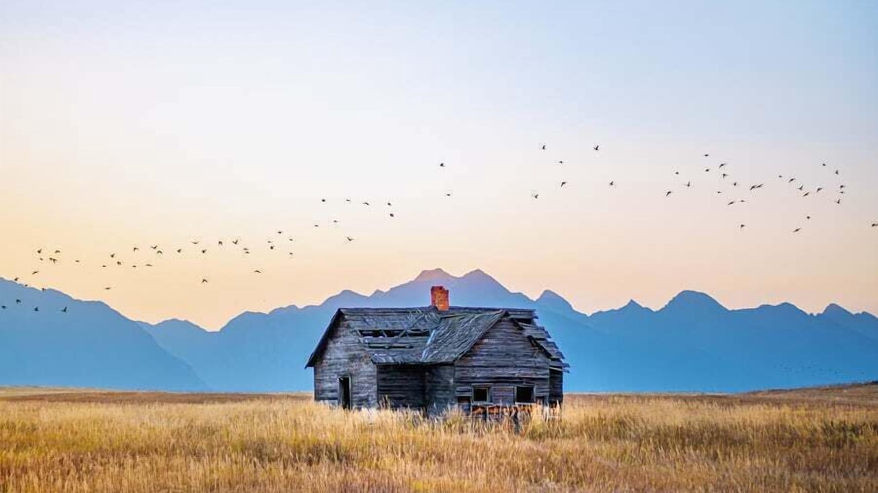 Photo of Others in Bozeman