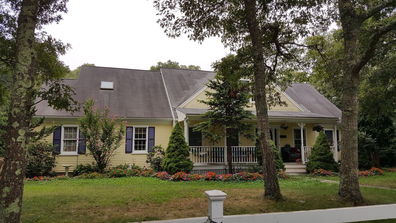 Photo of Outdoor in Cotuit