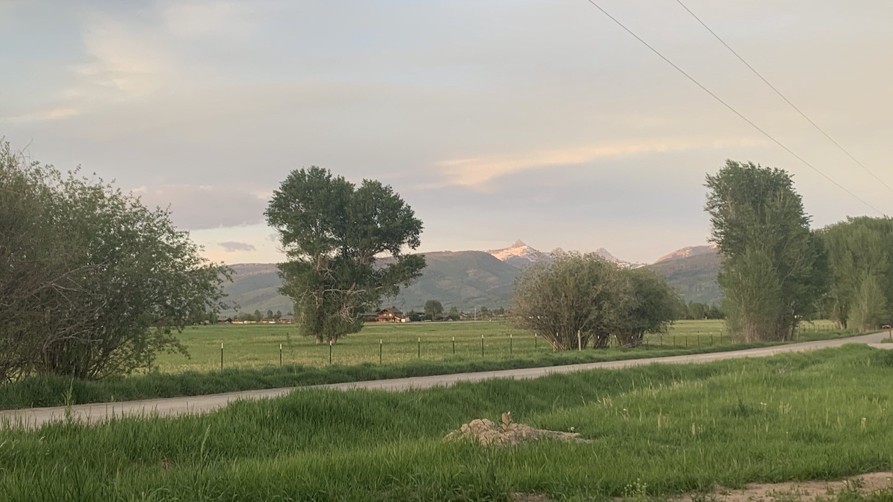 Photo of Others in Victor