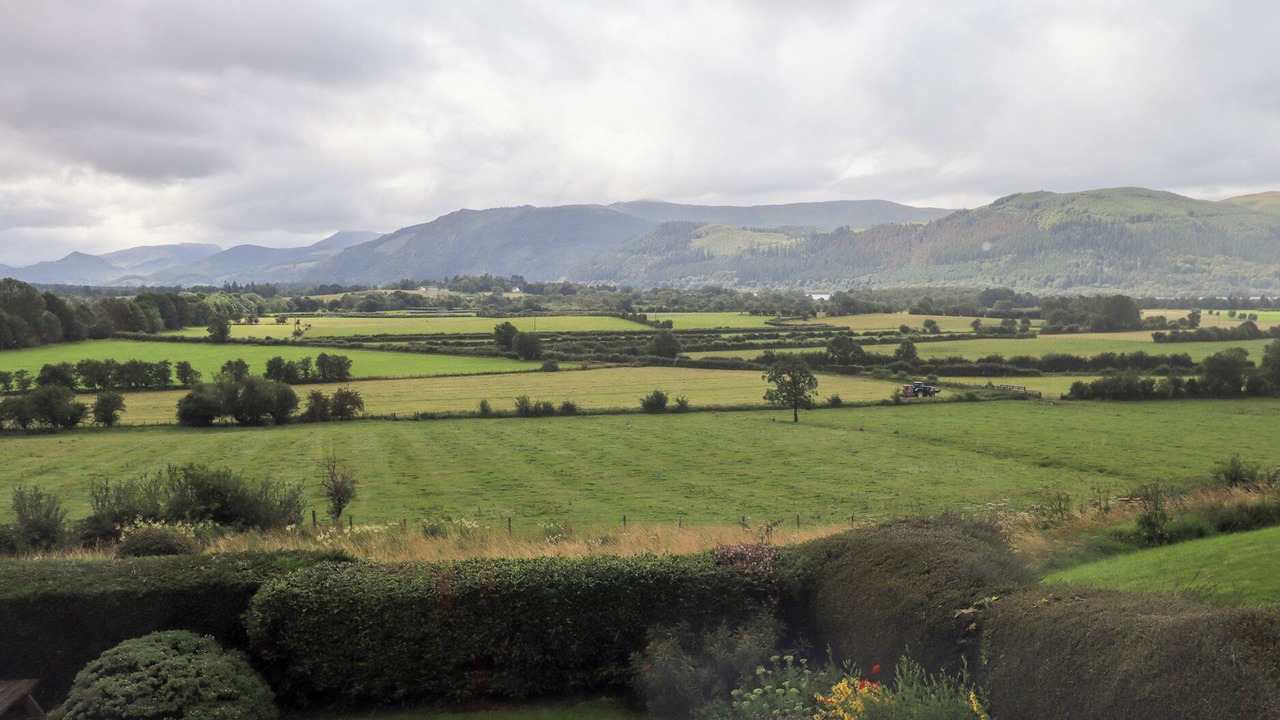 Photo of Others in Bassenthwaite