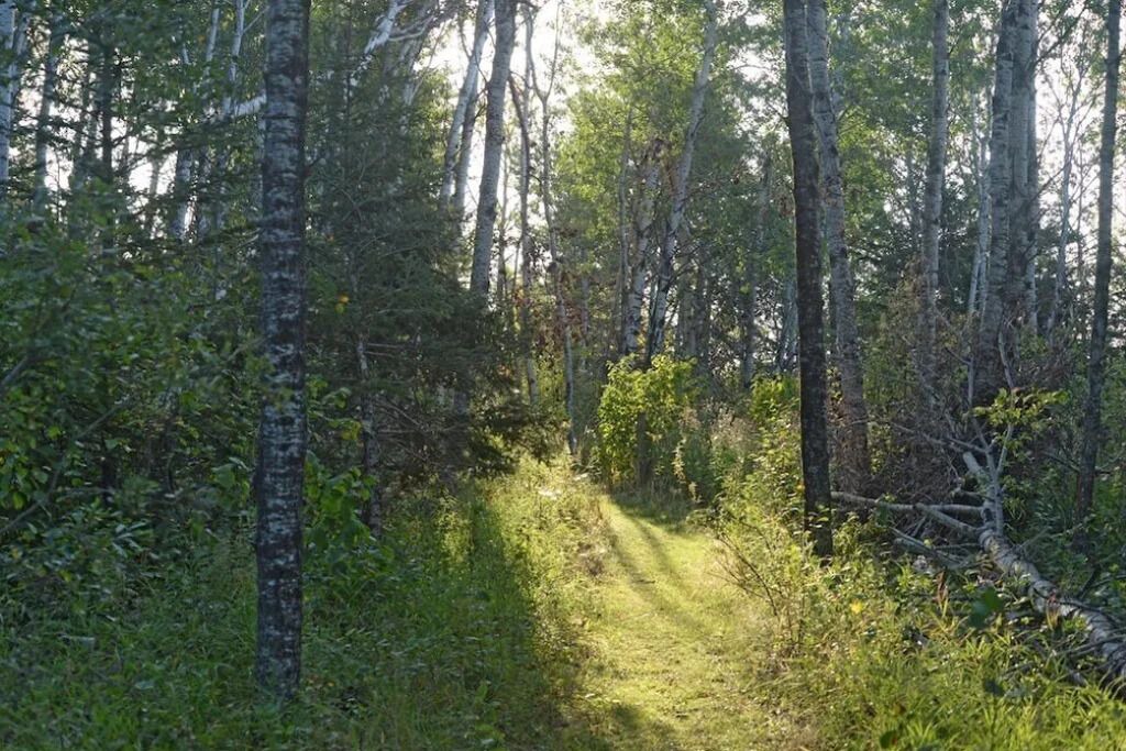 Photo of Outdoor in Manitoba