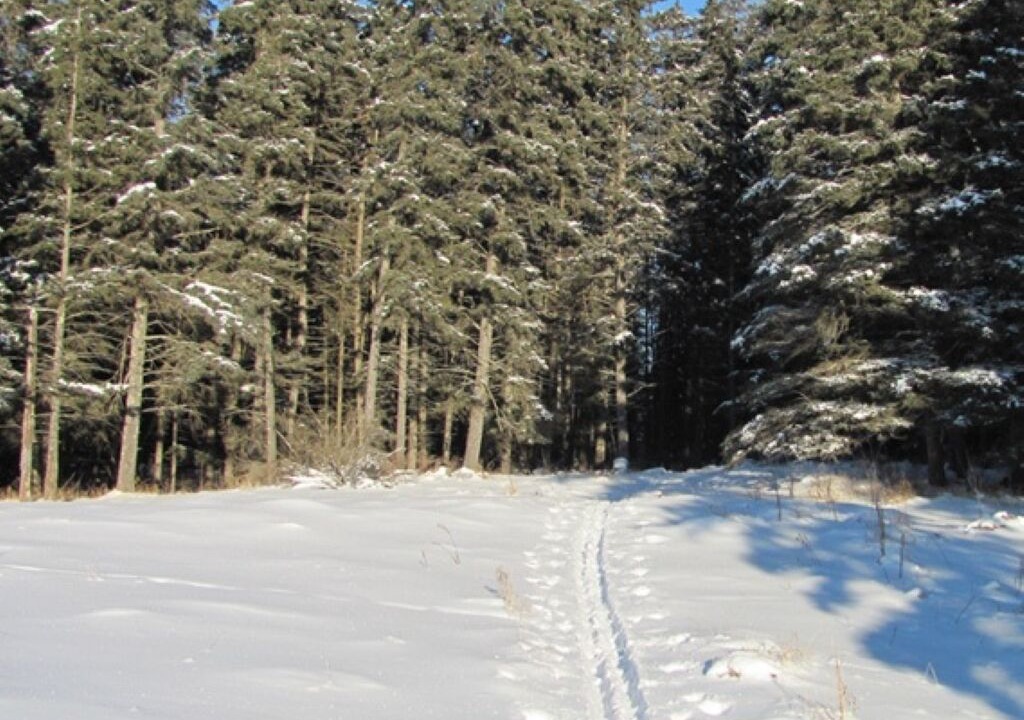 Photo of Outdoor in Manitoba