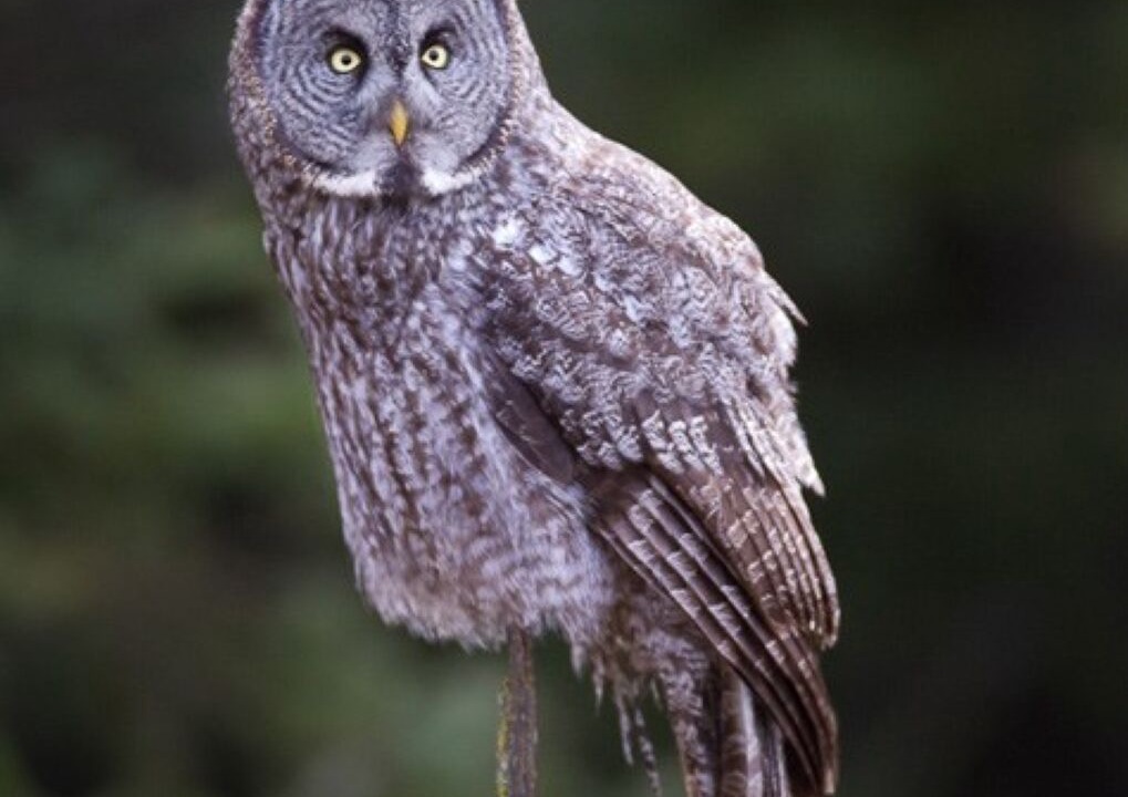 Photo of Others in Manitoba