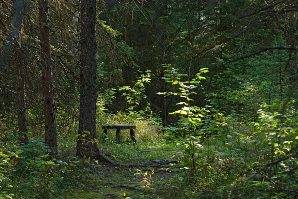 Photo of Outdoor in Manitoba