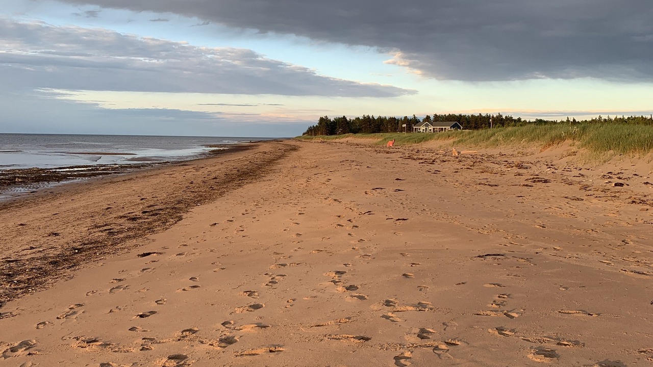 Photo of Others in Pictou County