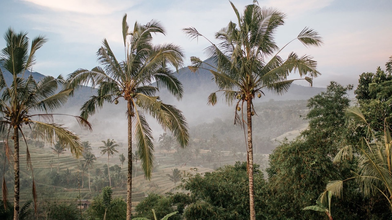Photo of Outdoor in Babakan