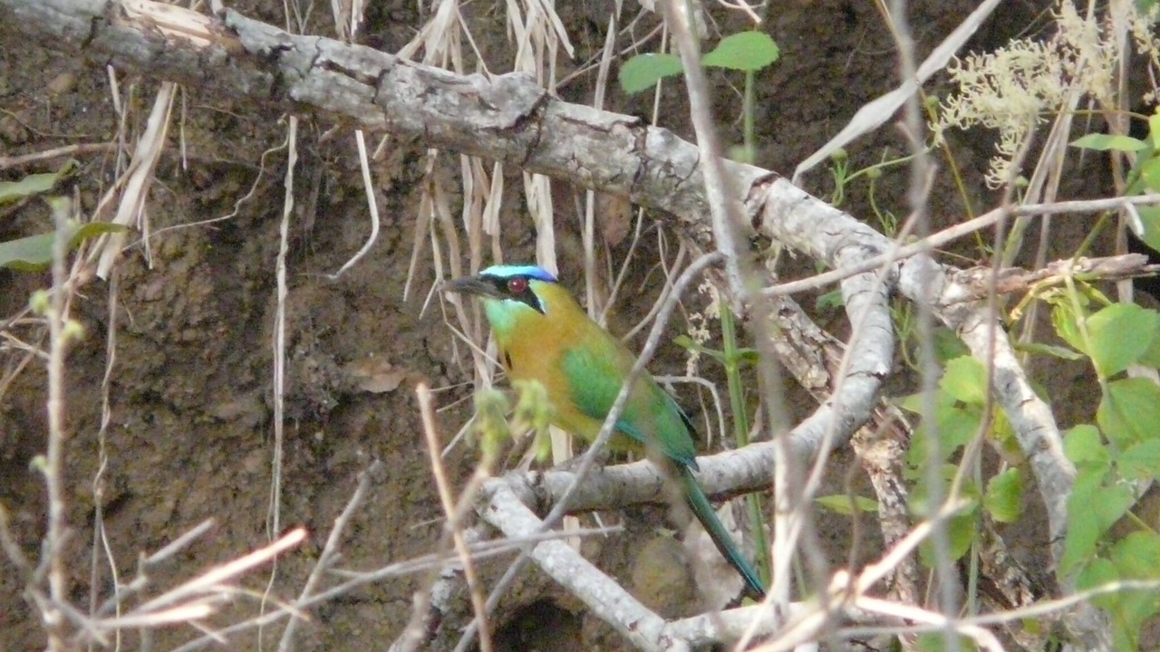 Photo of Outdoor in Masatepe