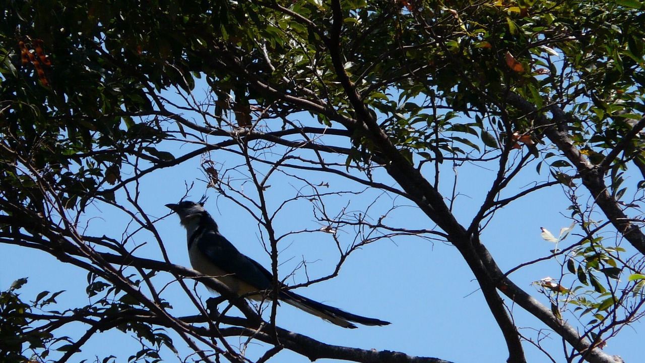 Photo of Others in Masatepe