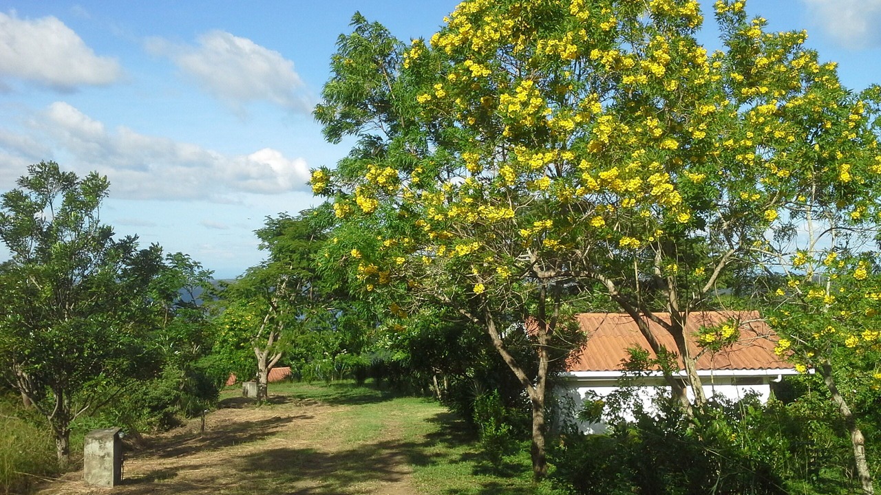 Photo of Outdoor in Masatepe