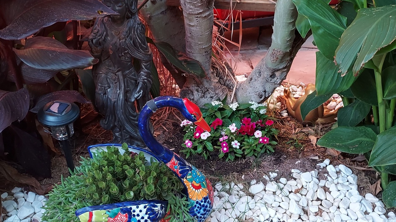 Photo of Outdoor in Apache Junction