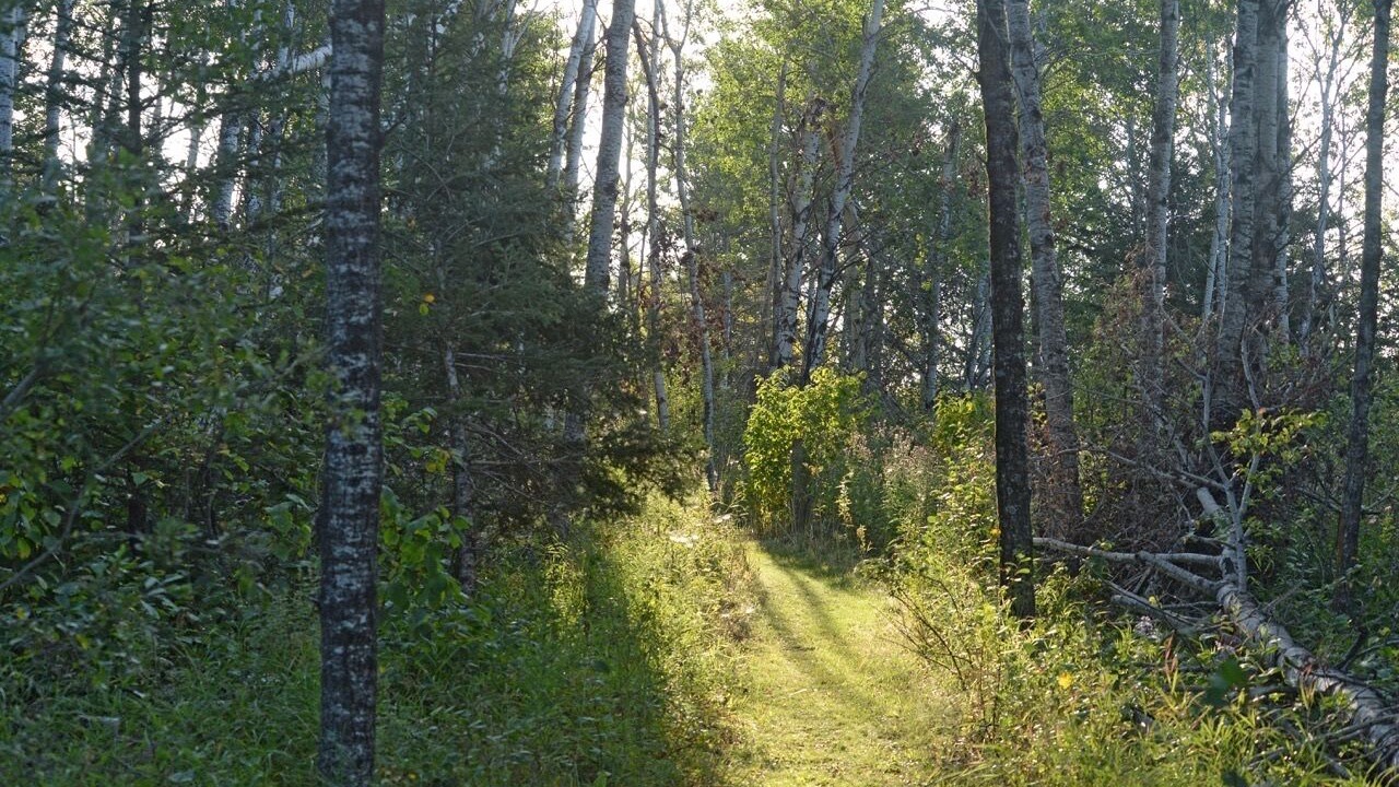 Photo of Outdoor in Manitoba