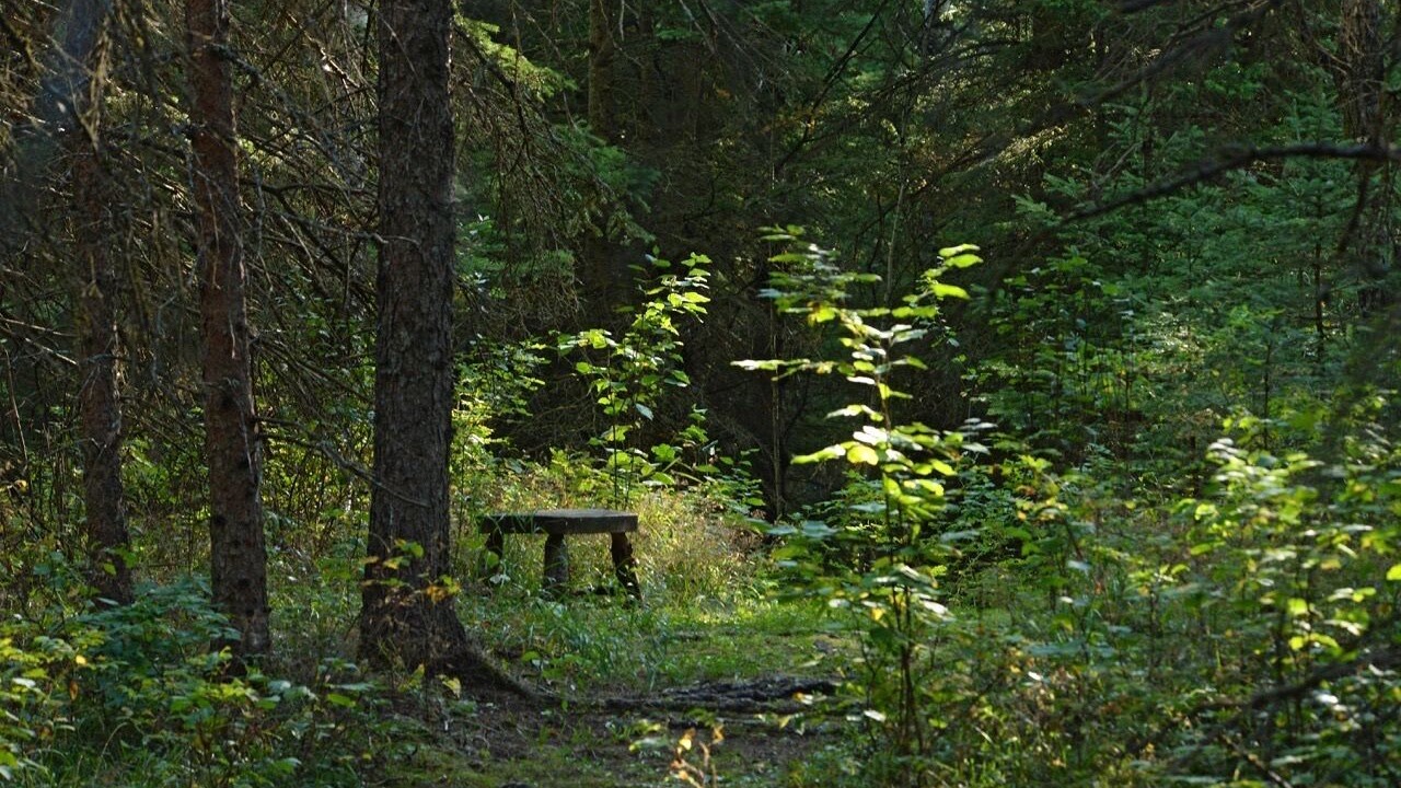 Photo of Outdoor in Manitoba
