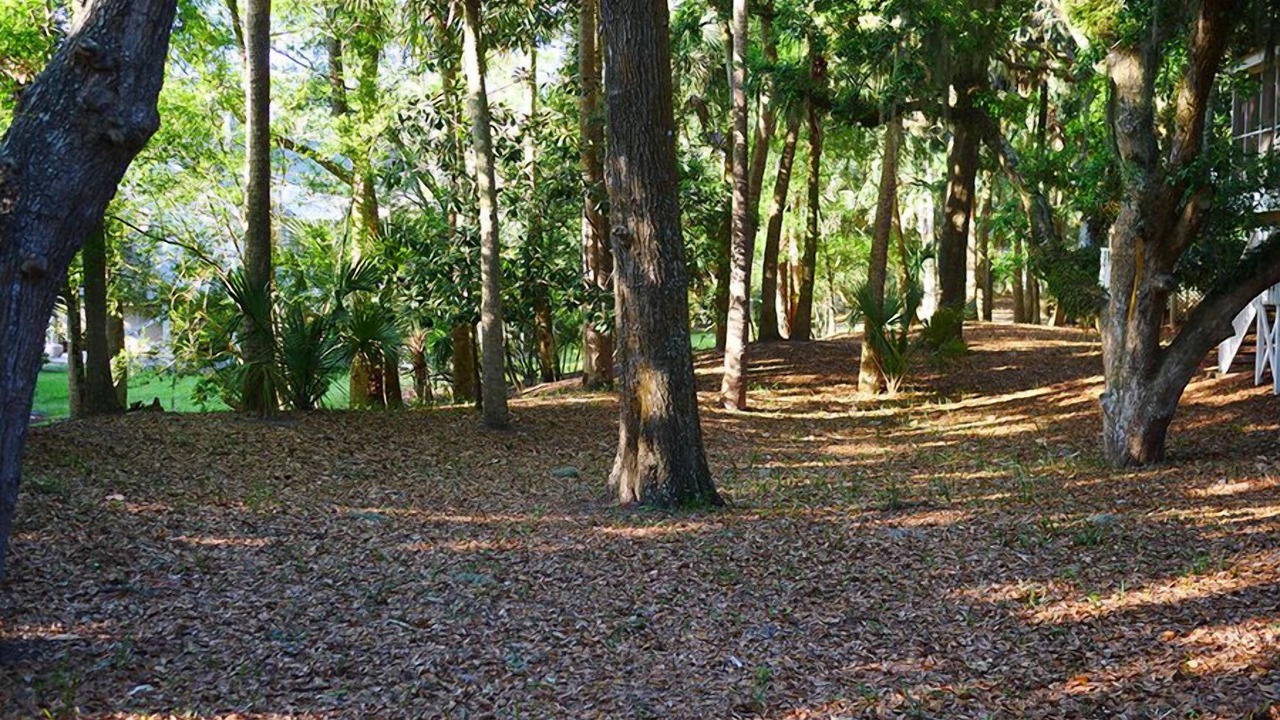 Photo of Others in Tarpon Pond