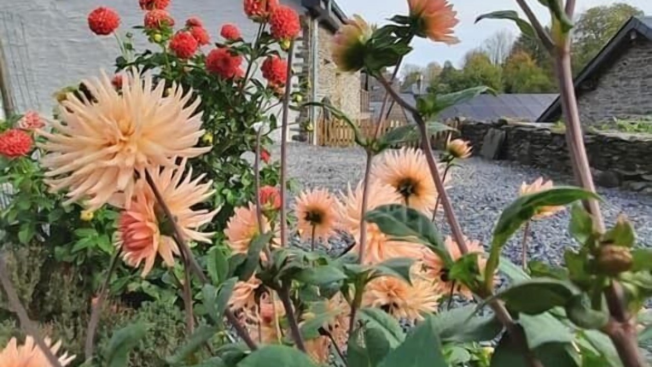 Photo of Outdoor in Nadrin