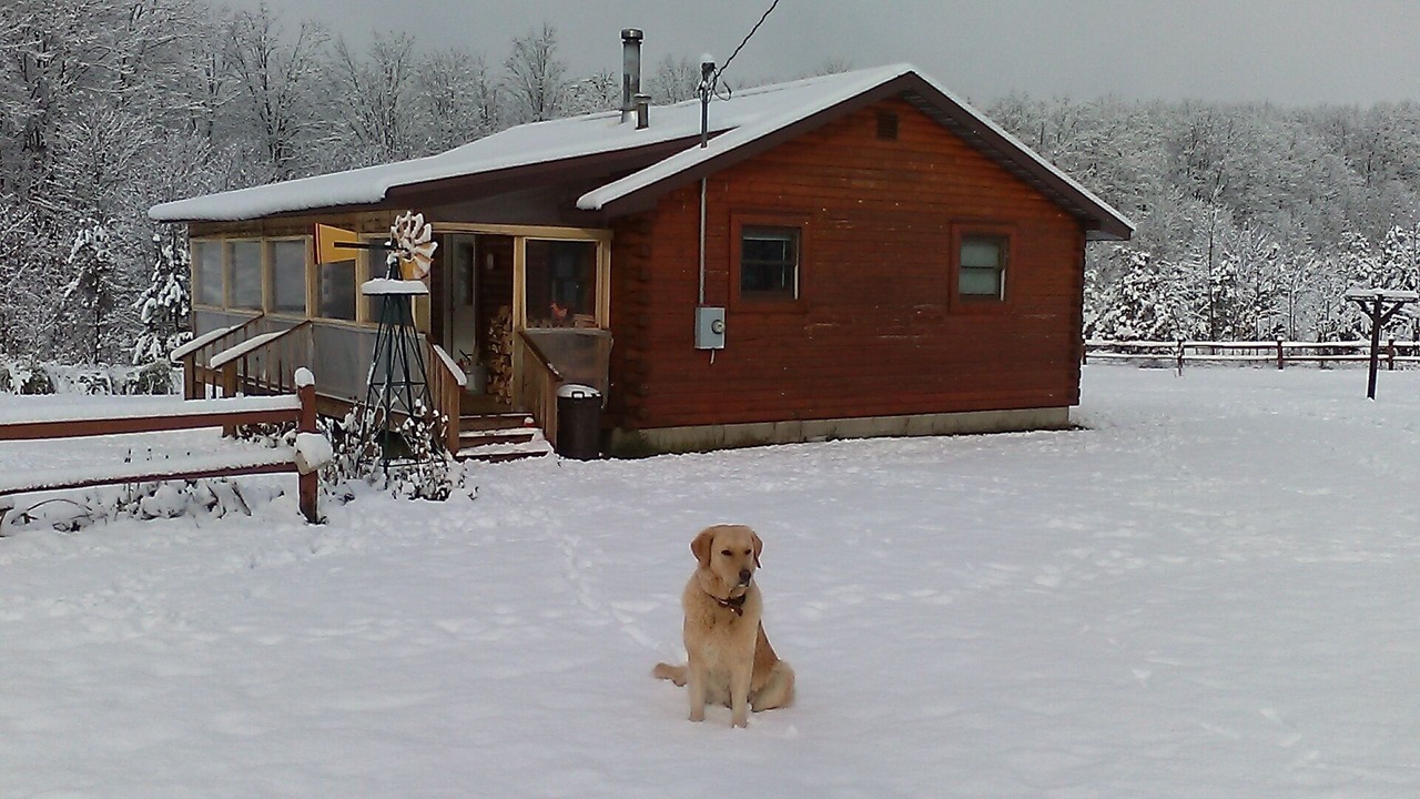 Photo of Outdoor in Elmira
