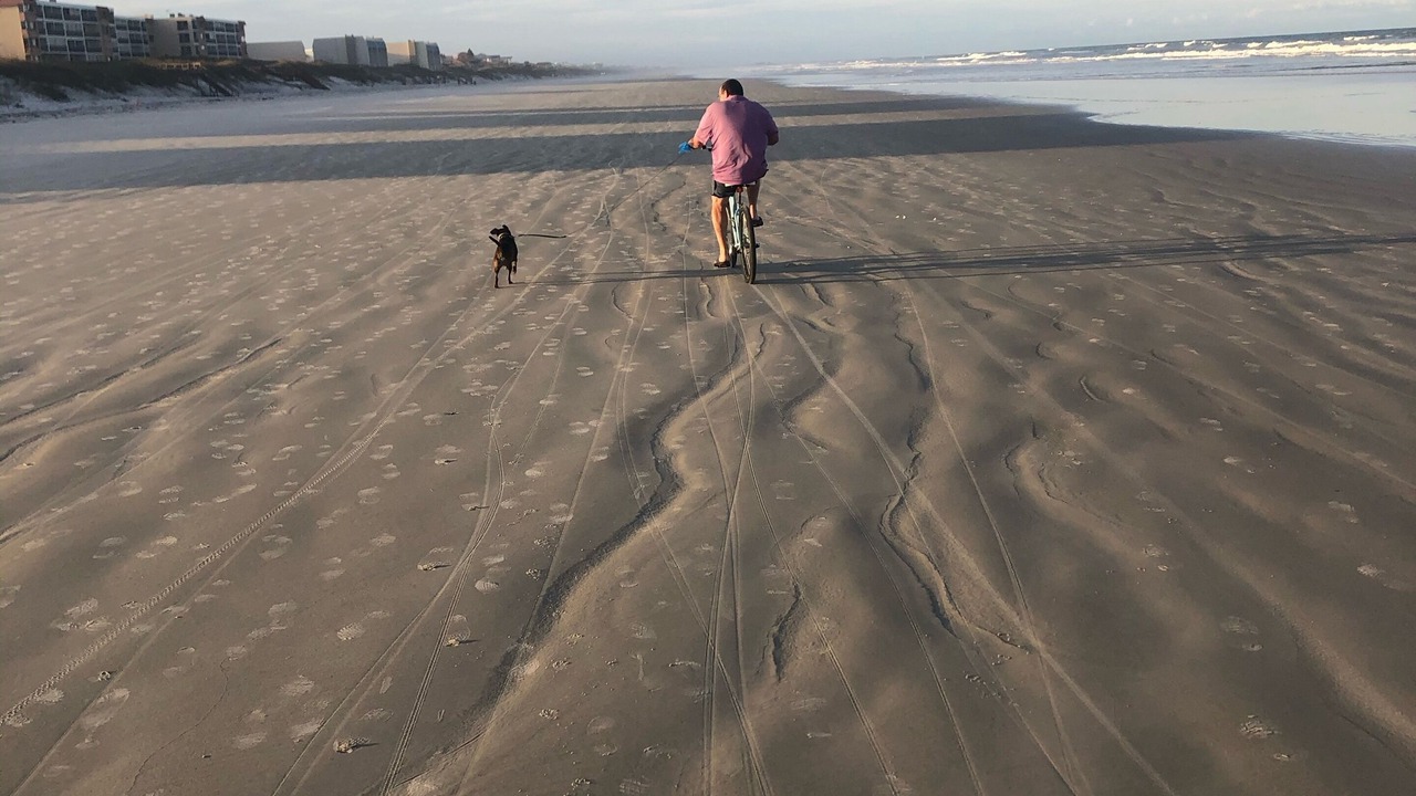 Photo of Others in Crescent Beach